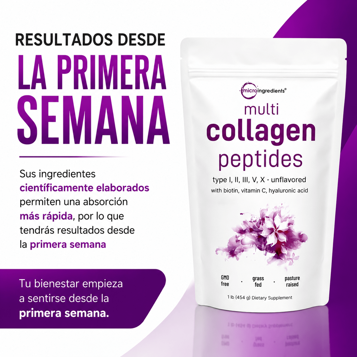Collagen Peptides Multi - Wellness Hub Chile