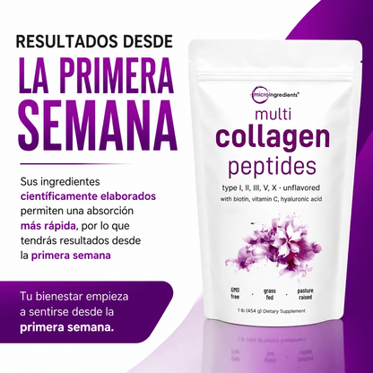 Collagen Peptides Multi - Wellness Hub Chile