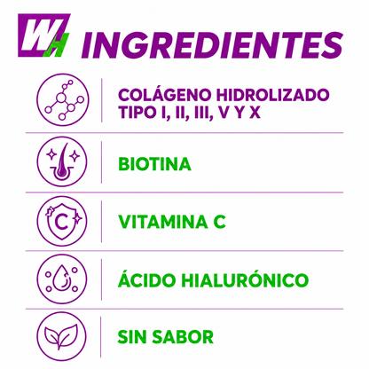 Collagen Peptides Multi - Wellness Hub Chile