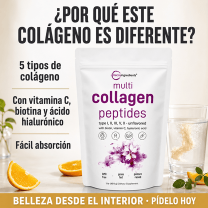 Collagen Peptides Multi - Wellness Hub Chile
