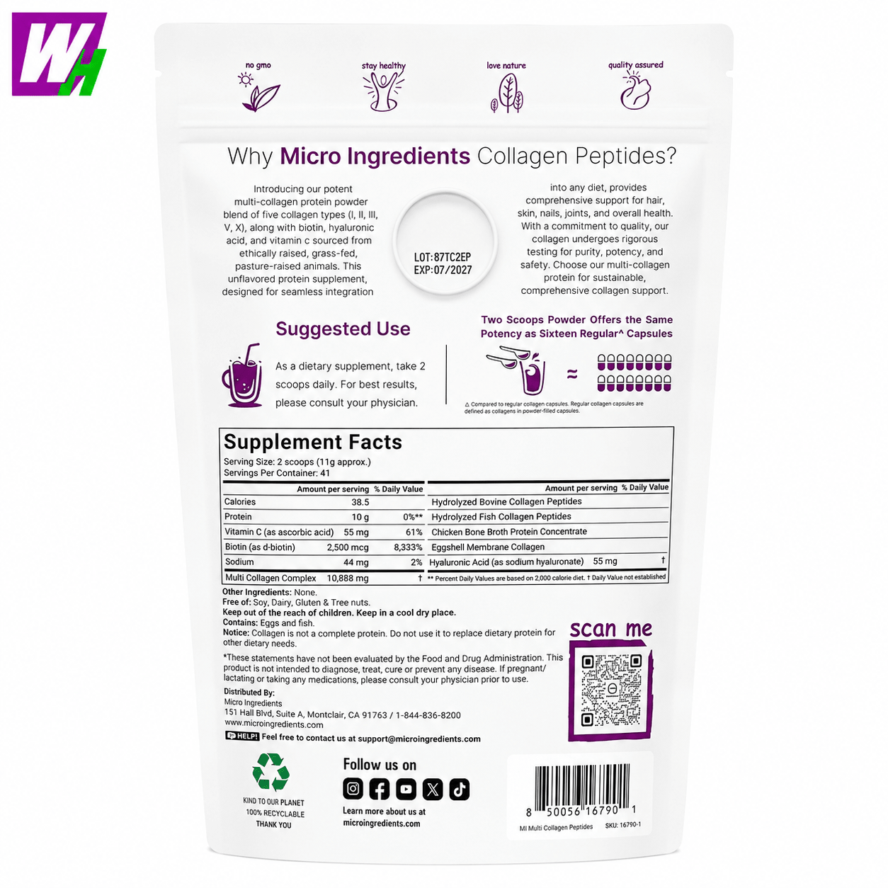 Collagen Peptides Multi - Wellness Hub Chile